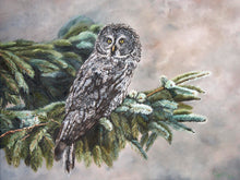 Load image into Gallery viewer, Great Grey Owl Greeting Card
