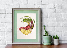 Load image into Gallery viewer, Heirloom Beet Print