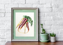 Load image into Gallery viewer, Heirloom Carrot Print