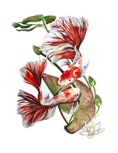 Load image into Gallery viewer, Butterfly Koi Greeting Card
