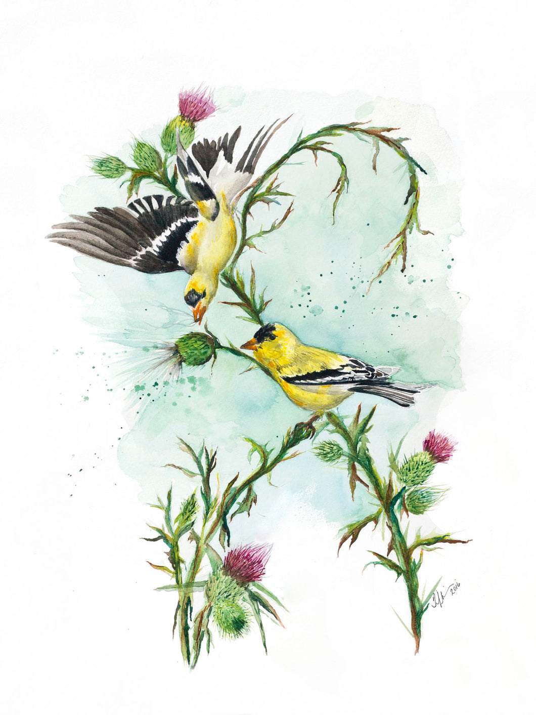 Goldfinch Print