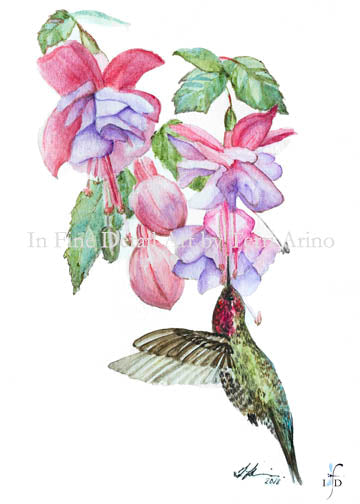 Anna's Hummingbird & Fuschias Watercolor Original - SOLD