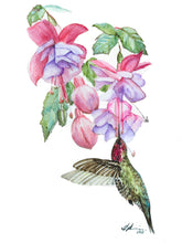 Load image into Gallery viewer, Hummingbird and Fuschia Print
