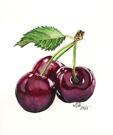 Amerena Tre - SOLD