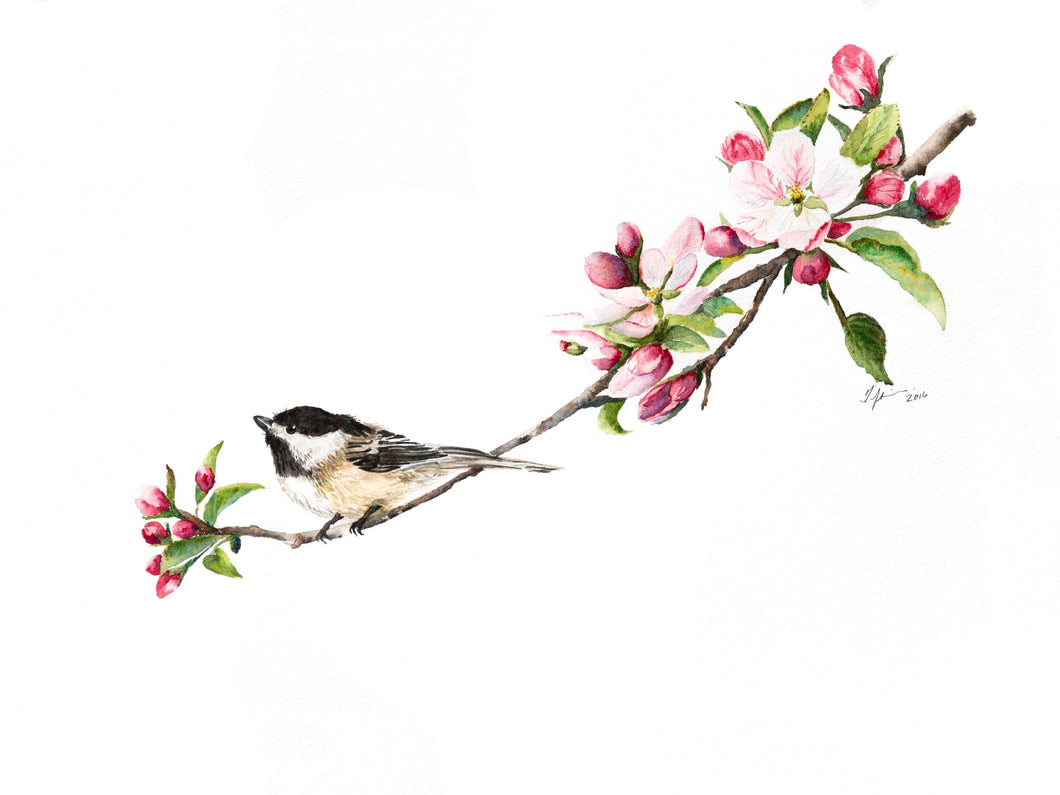 Chickadee and Flower Print