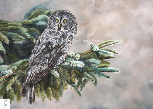 Great Grey Owl Oil Painting Original