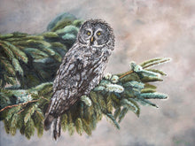 Load image into Gallery viewer, Great Grey Owl Greeting Card

