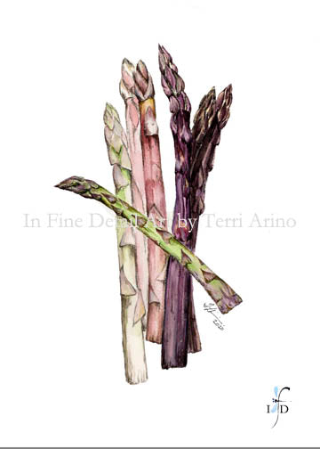 Heirloom Asparagus Watercolor Original - SOLD