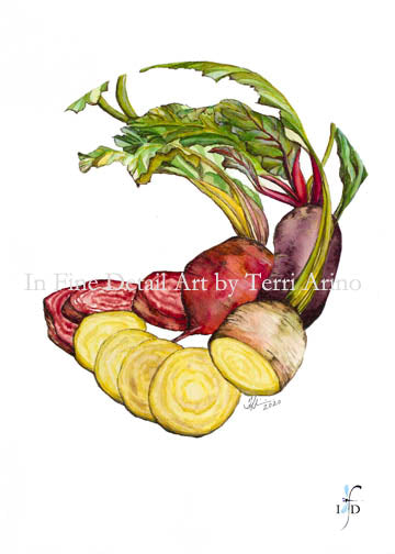 Heirloom Beets Watercolor Original
