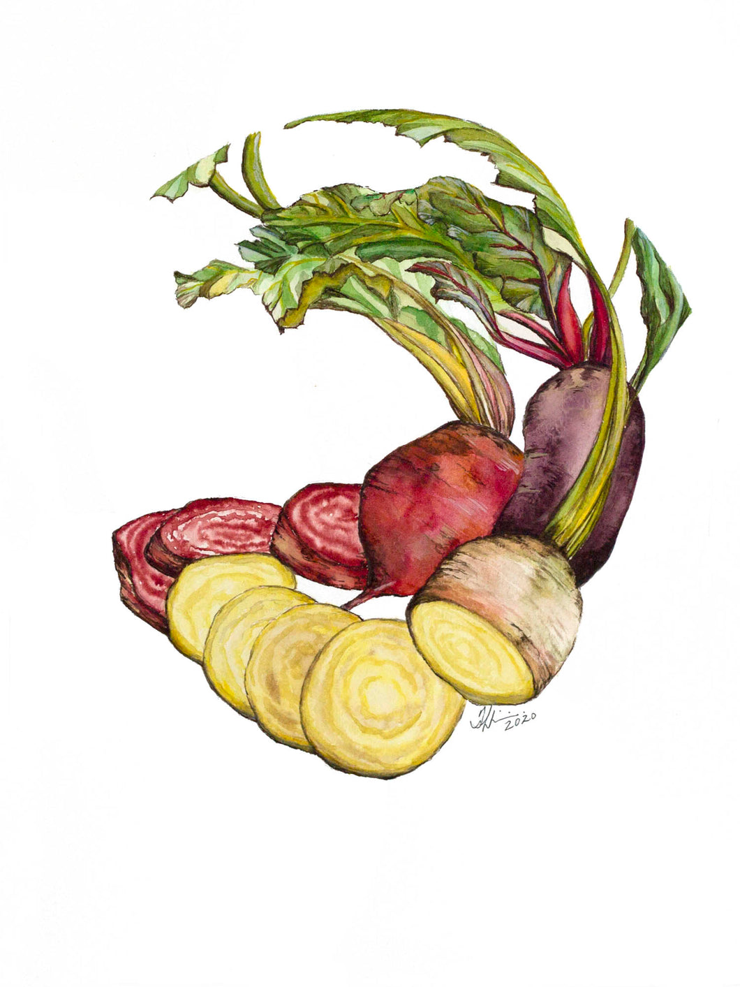 Heirloom Beet Print