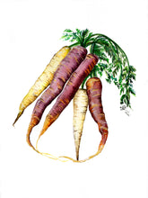 Load image into Gallery viewer, Heirloom Carrot Print
