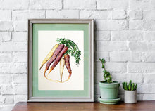 Load image into Gallery viewer, Heirloom Carrot Print
