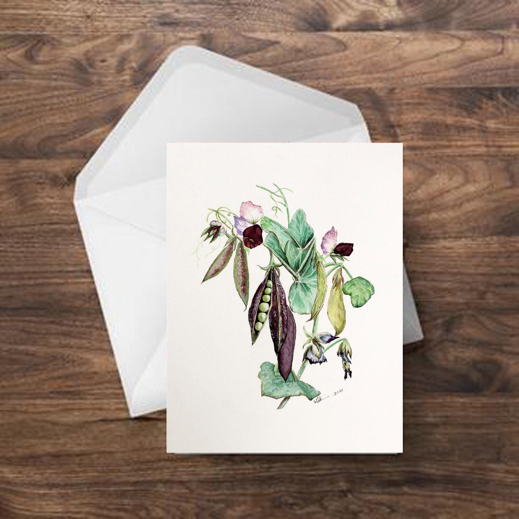 Heirloom Sweet Peas Greeting Card
