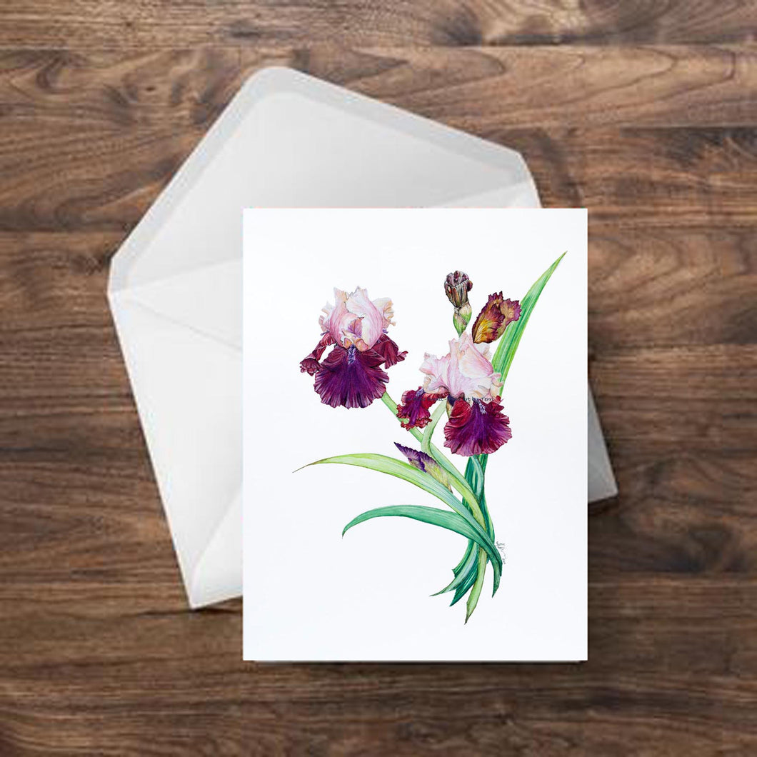 Bearded Iris Greeting Card