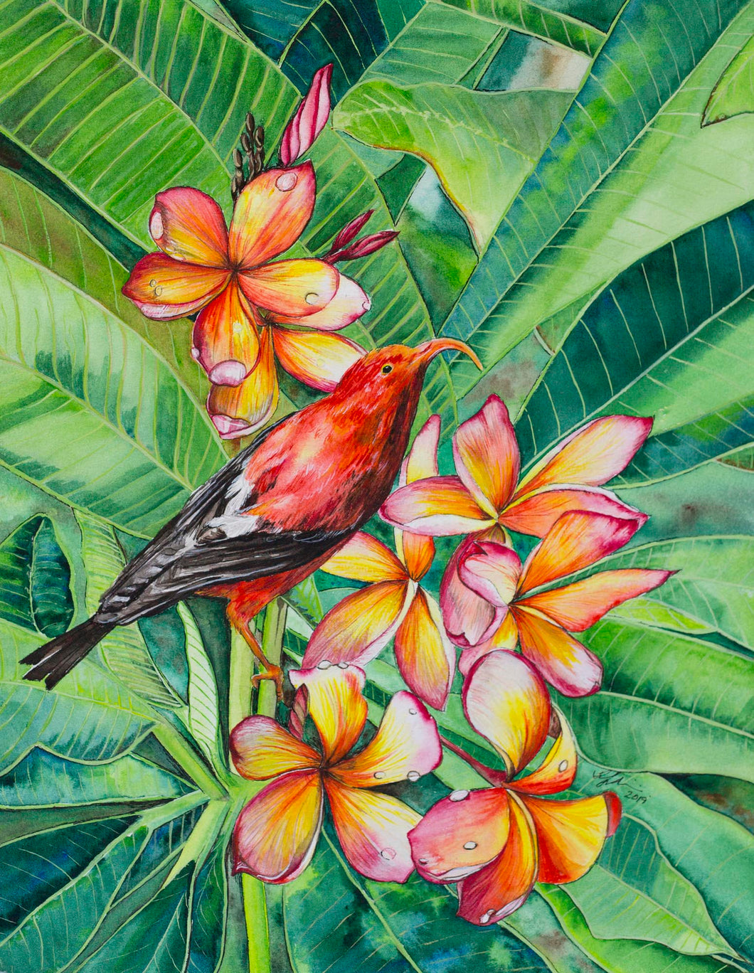 Honeycreeper and Plumeria Print