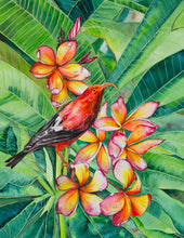 Load image into Gallery viewer, Honeycreeper and Plumeria Greeting Card
