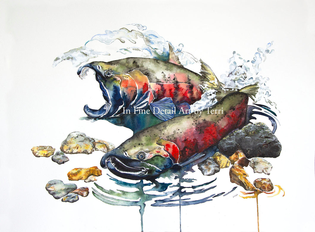 Coho Salmon Watercolor Original
