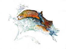 Load image into Gallery viewer, Brown Trout Giclee&#39; Print
