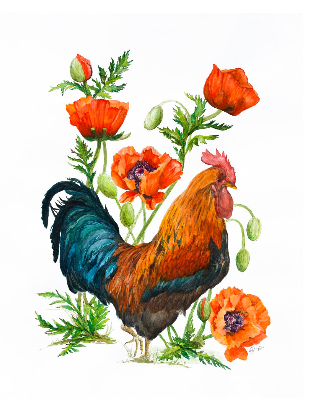 Rooster and Poppies Print